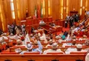 Senate amends Electoral Act to clarify jurisdiction in election disputes