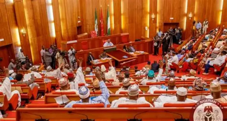 Senate amends Electoral Act to clarify jurisdiction in election disputes
