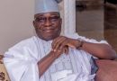 2027: APC primary a sham, Tinubu should intervene – Arise