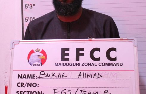 Court Jails  One  for N2.9m  Crypto Fraud in Maiduguri 