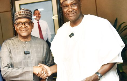 AFC Backs Food Security Drive with $600m Deal to Expand Dangote Fertilizer Capacity