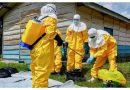 Nigerian Govt sets up presidential task force against Ebola