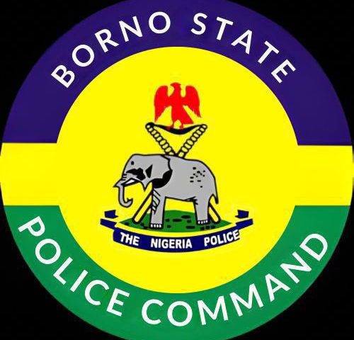 Police to enforce monthly environmental sanitation in Borno to fight cholera