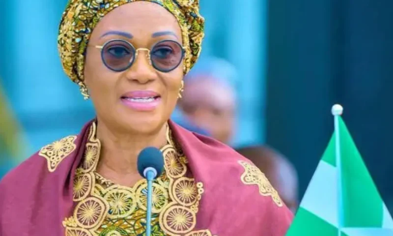 Akara business: ‘We’re not intimidated’ – Remi Tinubu breaks silence