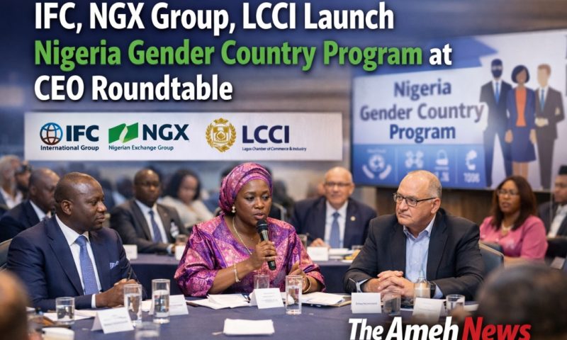IFC, NGX Group, LCCI Launch Nigeria Gender Country Program at CEO Roundtable