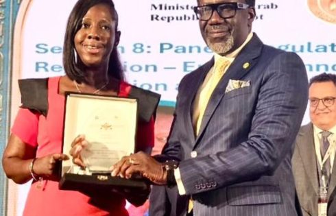 African Insurance Leaders Push Bold Reforms and Digital Drive to Unlock Africa’s $68bn Protection Gap in Cairo