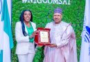 Nigeria’s DSO Goes Live After 17 Years as Experts Highlight Economic, Media Opportunities