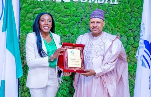 Nigeria’s DSO Goes Live After 17 Years as Experts Highlight Economic, Media Opportunities