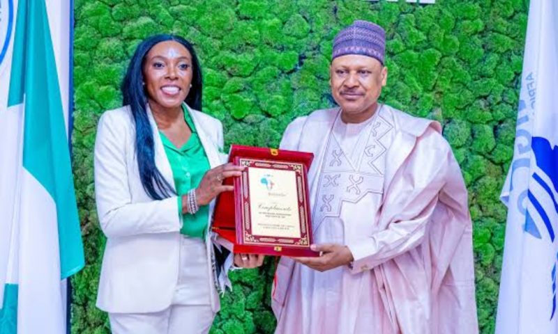 Nigeria’s DSO Goes Live After 17 Years as Experts Highlight Economic, Media Opportunities