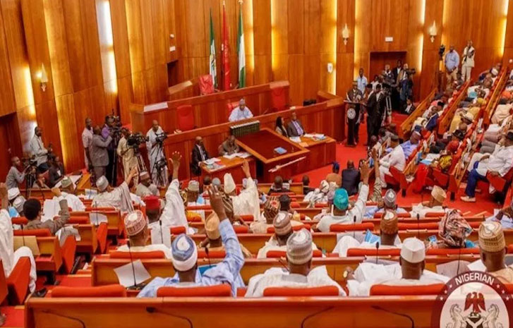Senate panel gives BoA, NSPMC, REA one week to answer audit queries