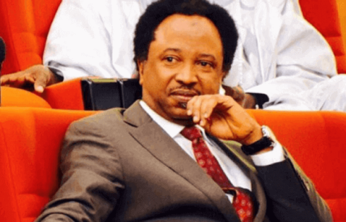 2026 World Cup: South Africa paying for xenophobic mobs – Shehu Sani