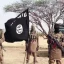 Seven suspected Boko Haram, ISWAP commanders arrested returning from hajj