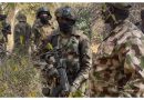 Troops rescue 47 captives in fresh Borno operation