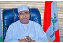 NDLEA seized over two billion tramadol pills in 18 months – Marwa