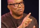 Once you join APC, corruption allegations disappear – Peter Obi