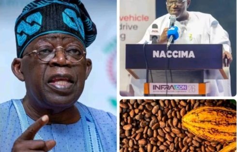 NACCIMA President Backs Tinubu’s Raw Cocoa Export Ban, Calls It a Boost for Industrialisation