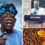 NACCIMA President Backs Tinubu’s Raw Cocoa Export Ban, Calls It a Boost for Industrialisation