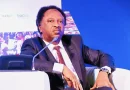 REA appointment: Fayose a grassroot politician – Shehu Sani