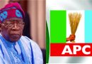 Tinubu, APC out to cripple opposition ahead of 2027 election – Habibu, Zuwoghe