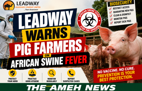 Nigeria’s Pig Industry Under Threat as African Swine Fever Spreads, Leadway Urges Stronger Biosecurity