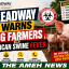 Nigeria’s Pig Industry Under Threat as African Swine Fever Spreads, Leadway Urges Stronger Biosecurity