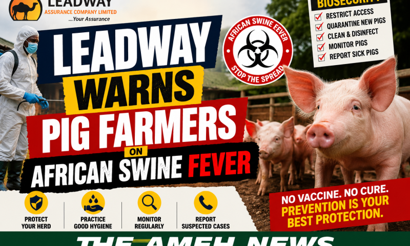 Nigeria’s Pig Industry Under Threat as African Swine Fever Spreads, Leadway Urges Stronger Biosecurity