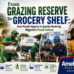 "Why Nigeria Needs More Companies That Build Value Chains Like Nestle Nigeria, Not Just Balance Sheets." file_00000000e76871fd99fd0d9d7007f3fd