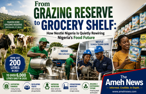 “Why Nigeria Needs More Companies That Build Value Chains Like Nestle Nigeria, Not Just Balance Sheets.”