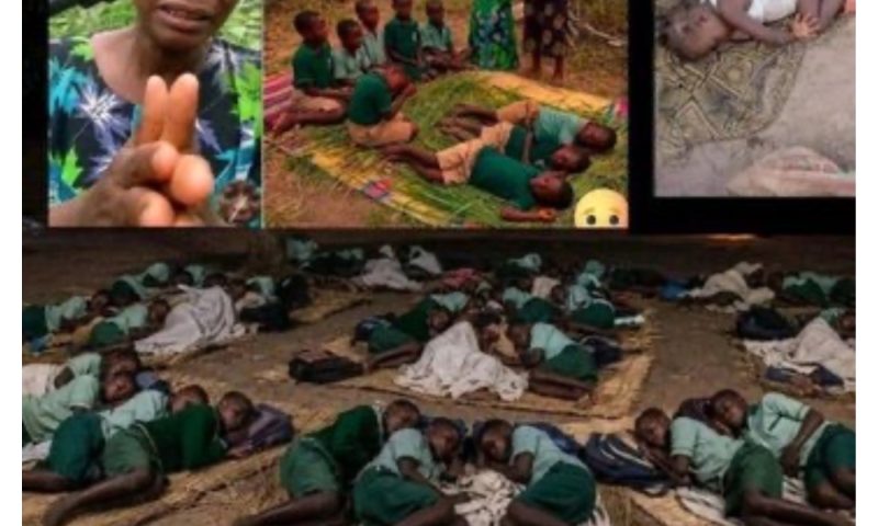 Oyo, Borno abductions: Schoolchildren spend 54 days in forest amid heavy downpour