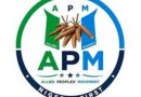 Bauchi LG polls: APM wins all 20 chairmanship seats, 319 councillorship positions