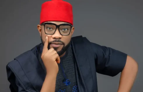 2027: APP will win elective positions through ballot not court – Ugochinyere