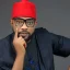 2027: APP will win elective positions through ballot not court – Ugochinyere