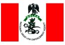 Edo: NDLEA raises alarm over food shortage as farmers turn to cannabis cultivation
