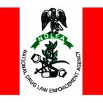 NDLEA