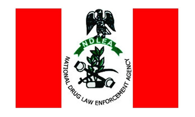 Edo: NDLEA raises alarm over food shortage as farmers turn to cannabis cultivation