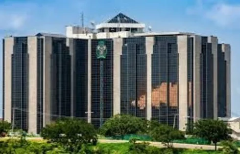 CBN urged to expand oversight of fintech, cloud risks