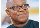 Benue attacks: Govt failed Otukpo-Nobi, Efeyi-Ugboju – Peter Obi