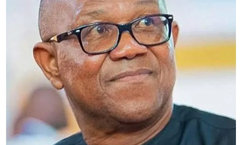 Benue attacks: Govt failed Otukpo-Nobi, Efeyi-Ugboju – Peter Obi