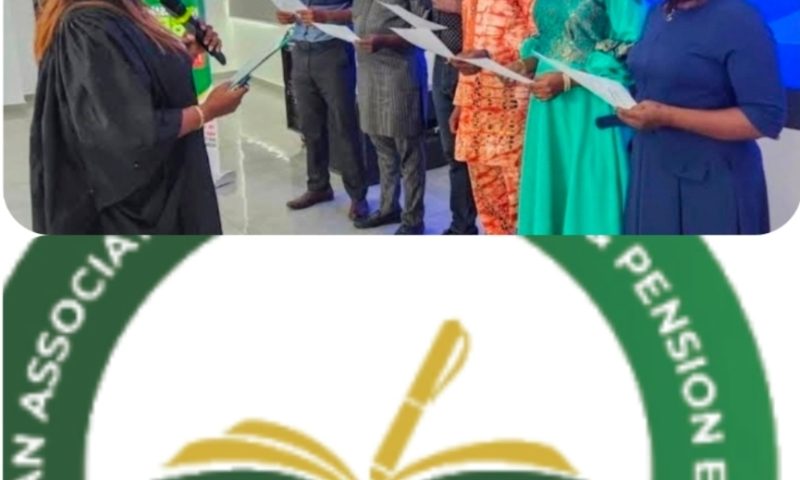 NAIPE Elects Ebere Nwoji as President as Insurance Industry Awaits NAICOM Decision on Recapitalisation