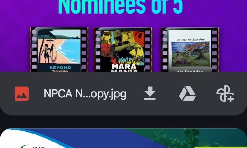 Five Filmmakers Advance to Final Stage of Inaugural Nigeria Prize for Creative Arts