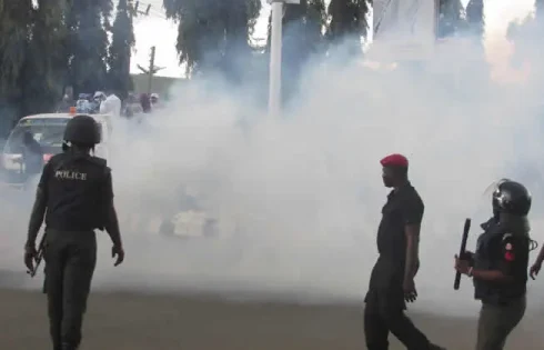 Osun election: ‘Corpers ran for their lives’ – Woman claims police teargassed voters [Video]